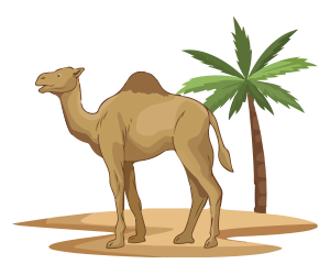 mip6-camel-sukshma-bima-insurance